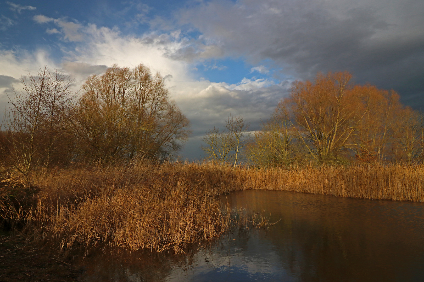 Licht im Januar