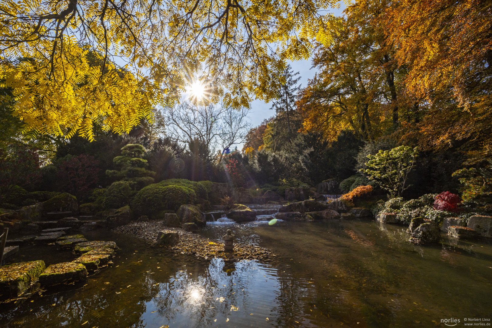 Licht im Japangarten