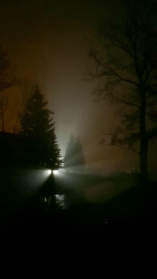 Licht im Nebel