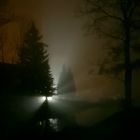 Licht im Nebel
