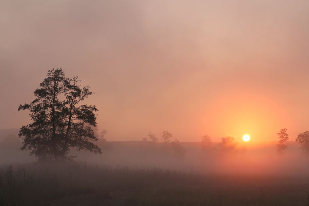 Licht im Nebel