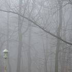 Licht im Nebel