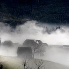 Licht im Nebel