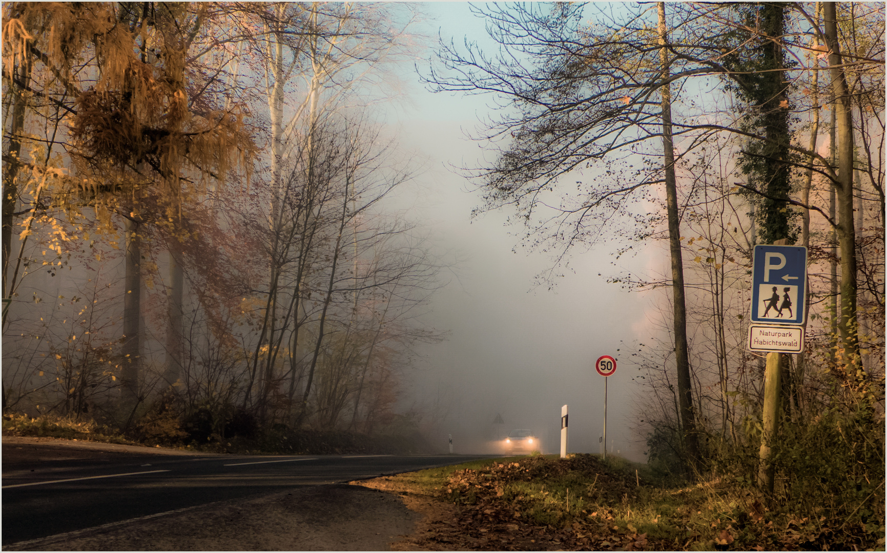 Licht im Nebel...