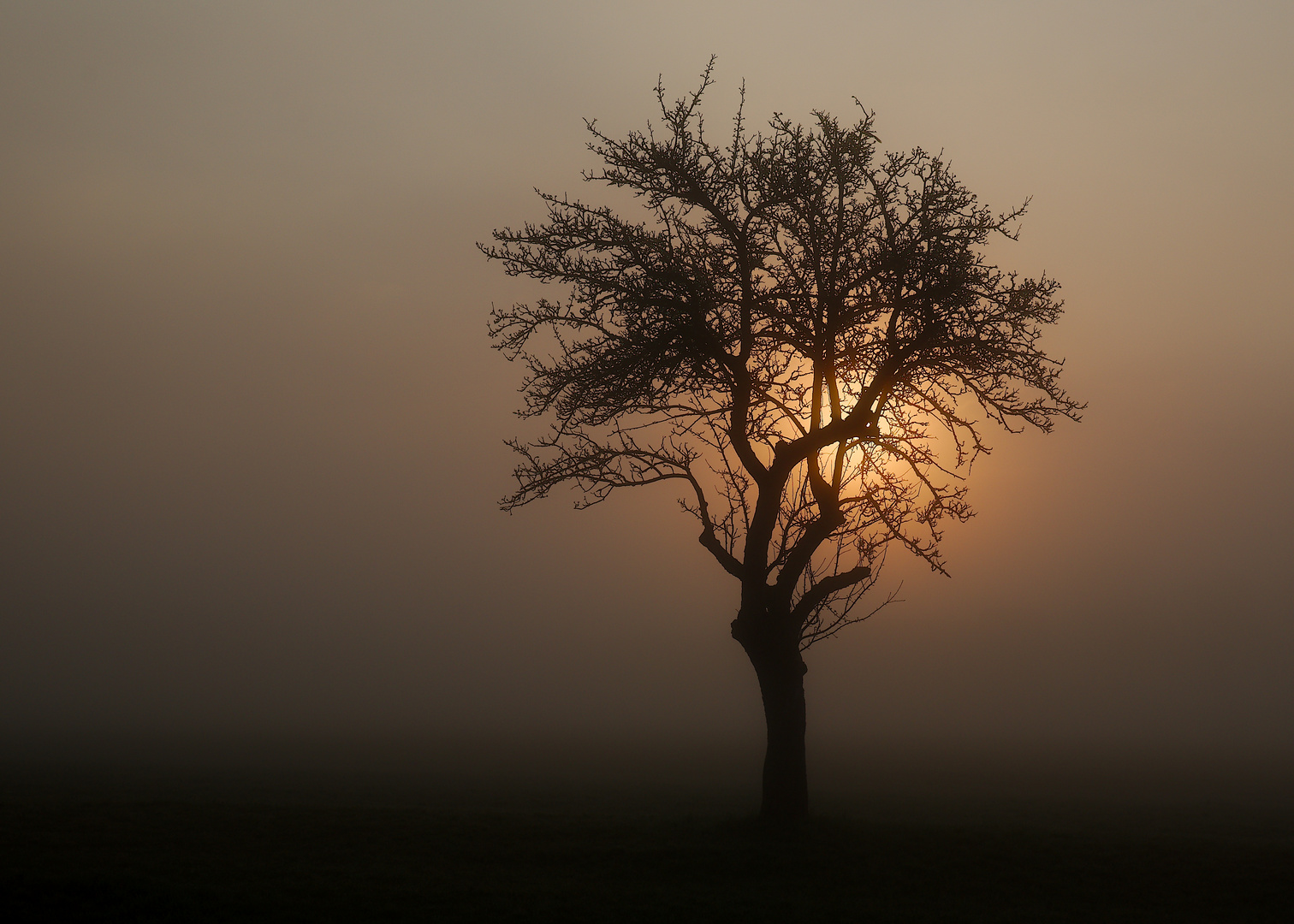 Licht im Nebel 