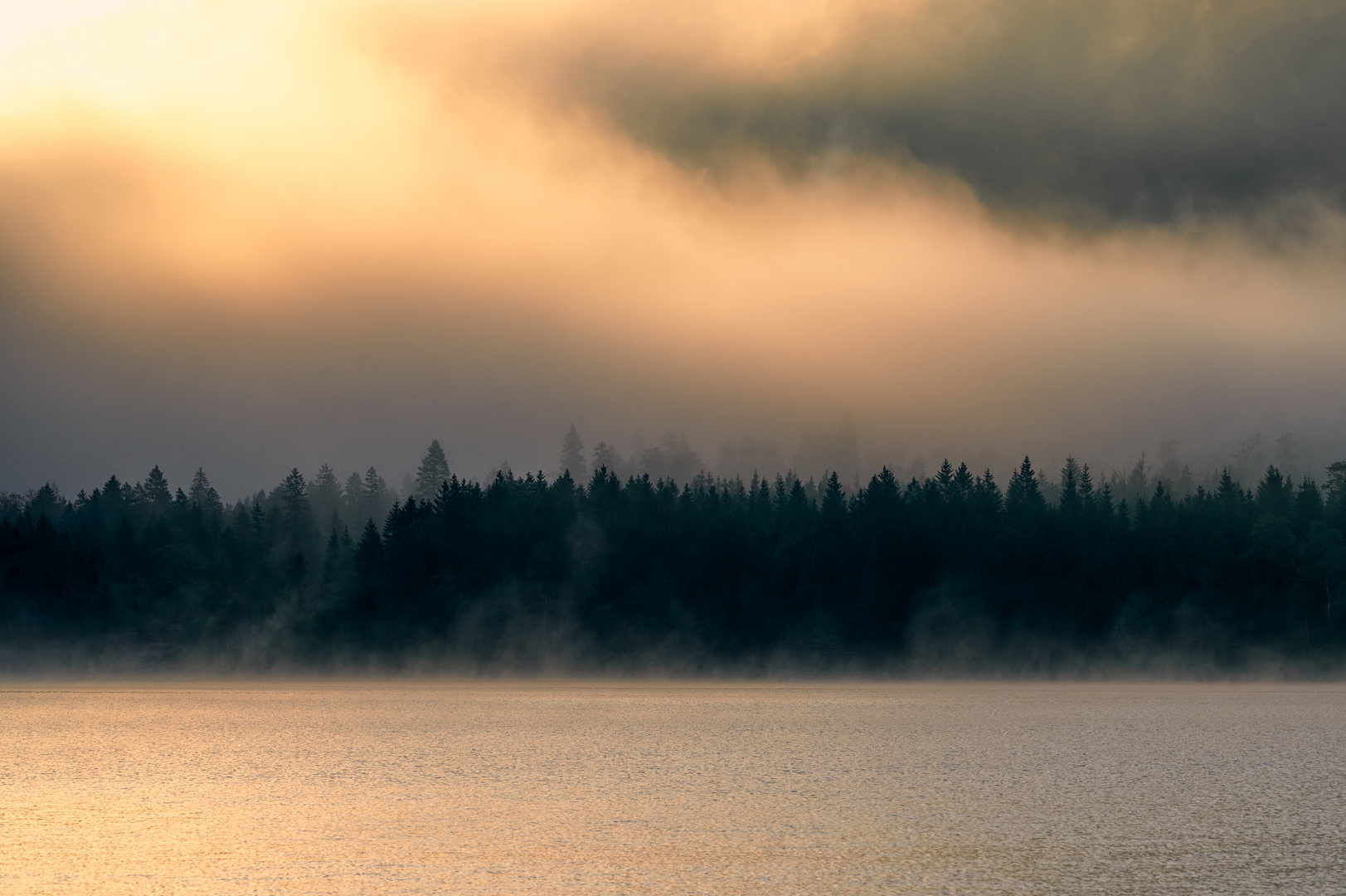 Licht im Nebel