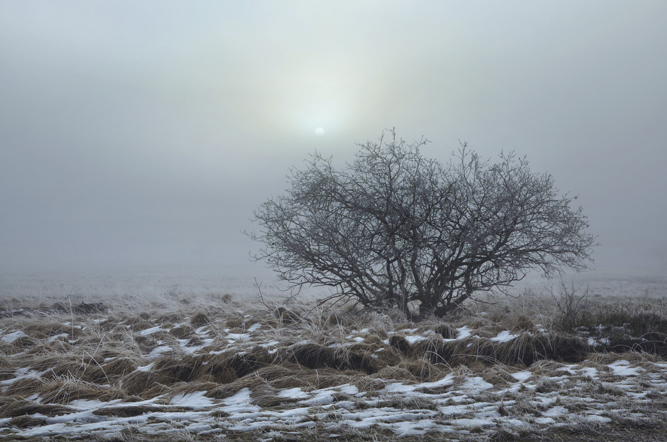 Licht im Nebel