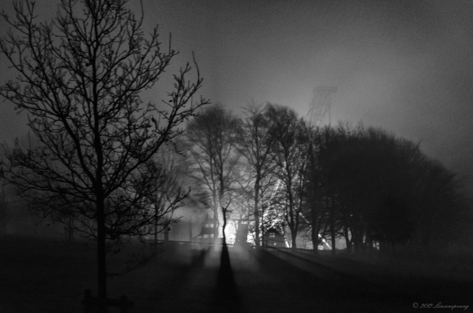 Licht im Nebel