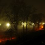 Licht im Nebel