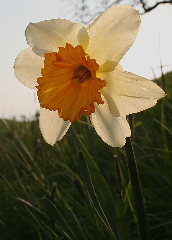 Licht im Rücken