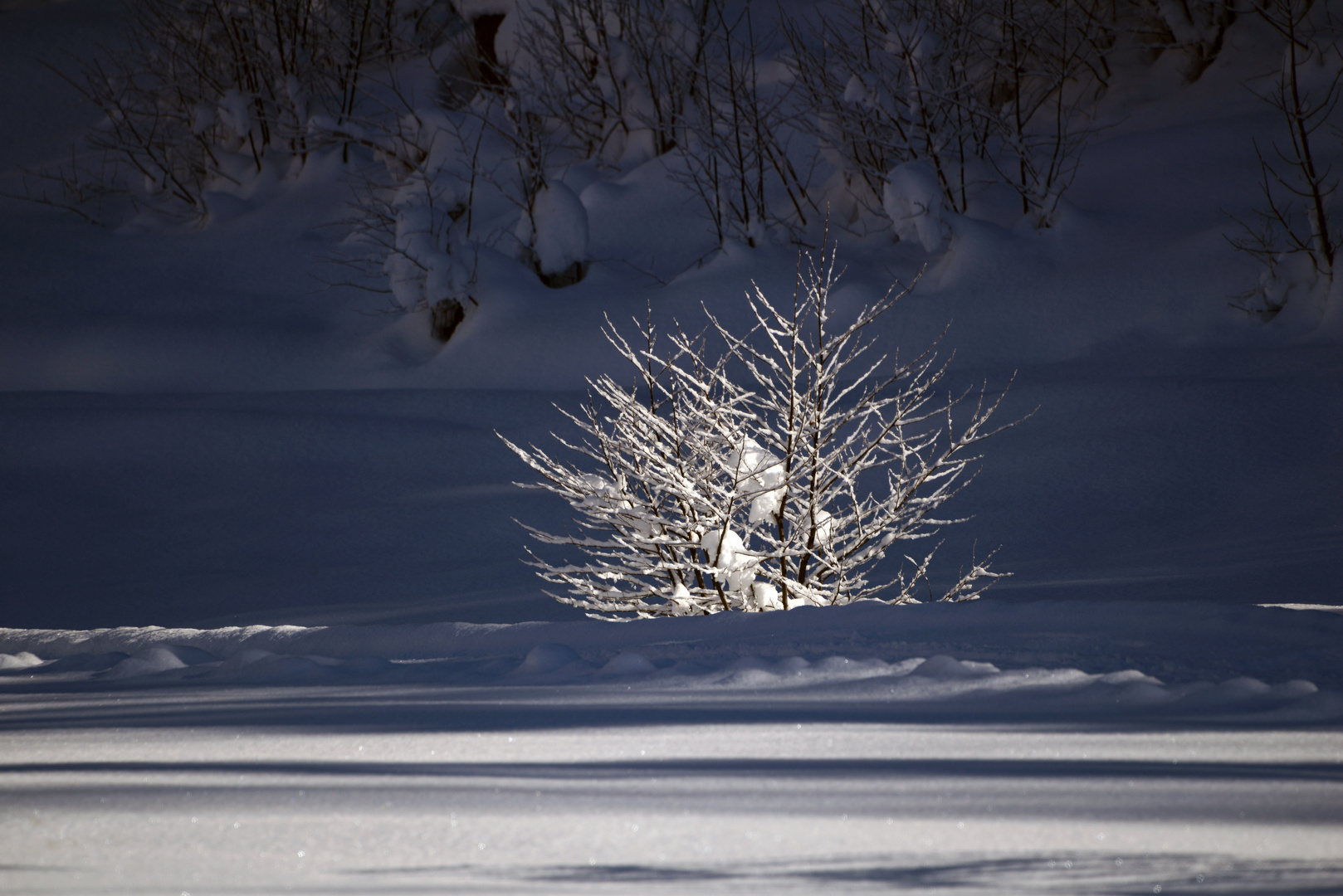 Licht im Schatten