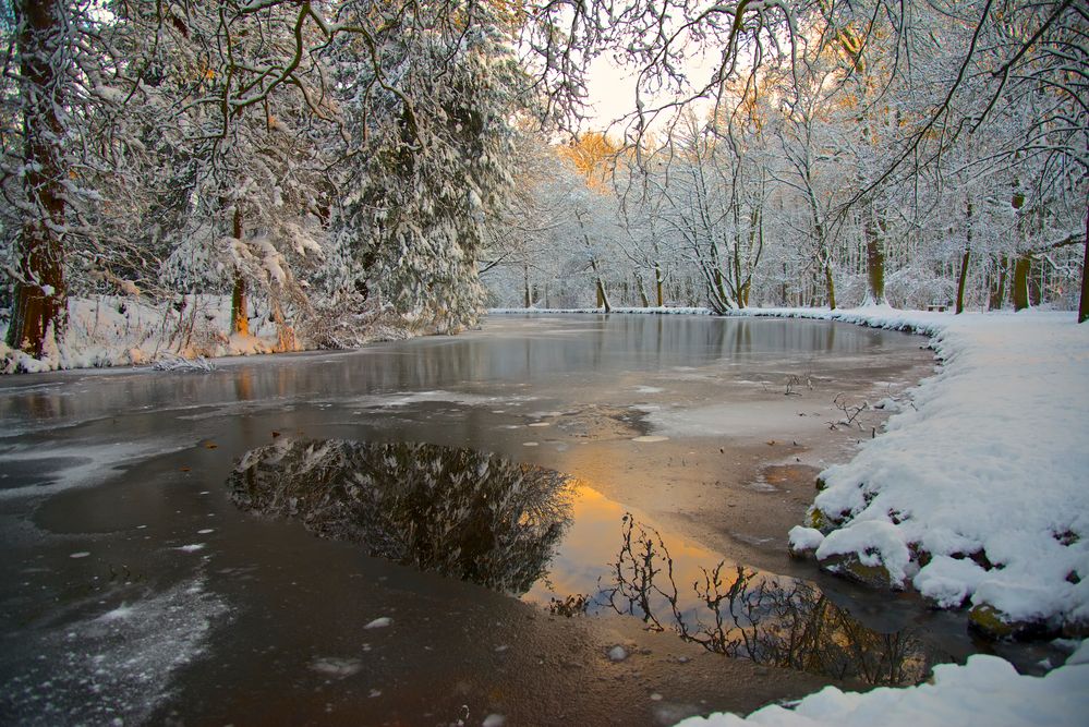 Licht im Schnee