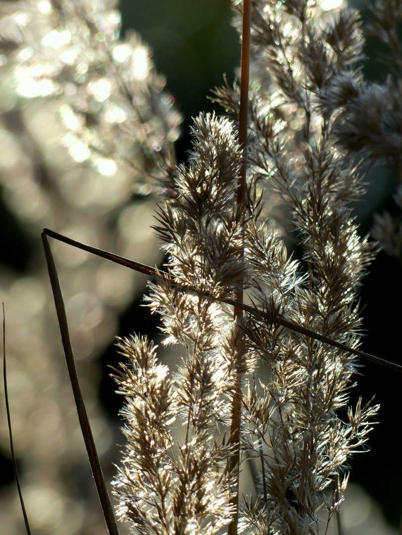 Licht im September 1