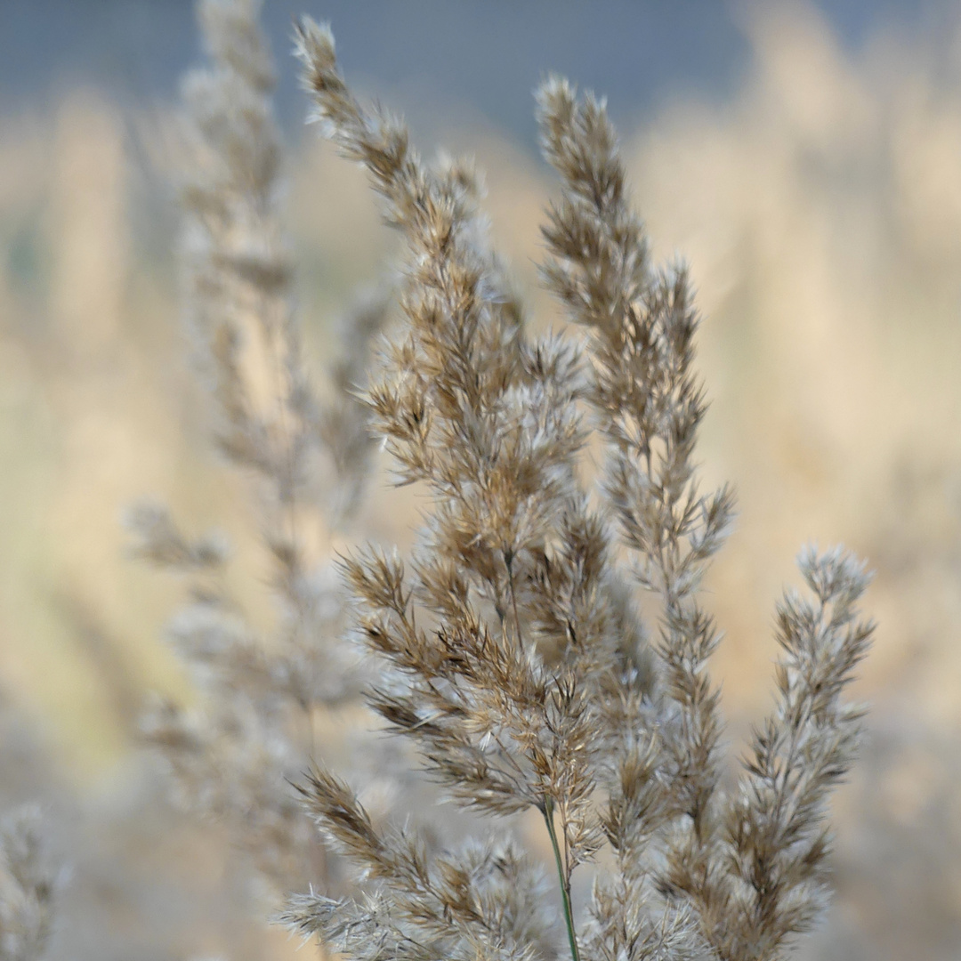 Licht im September 5