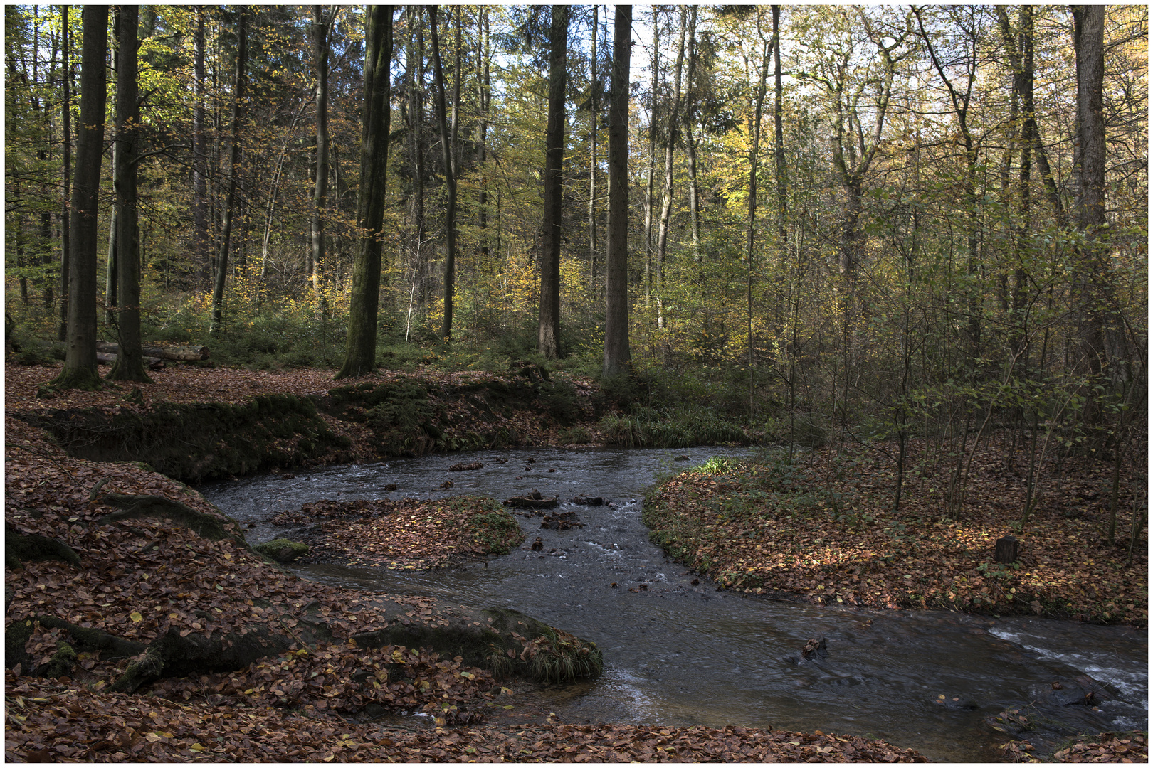 licht im silberbachtal