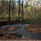 licht im silberbachtal