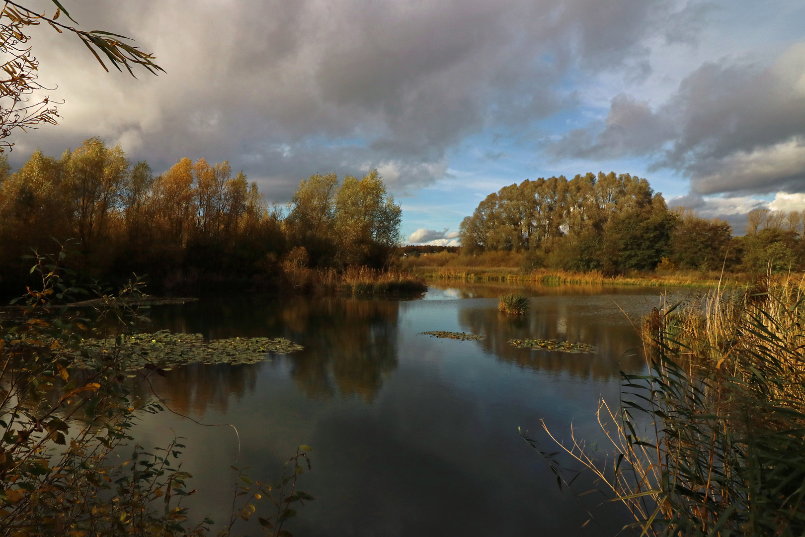 Licht im späten Herbst