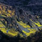 Licht im Tal