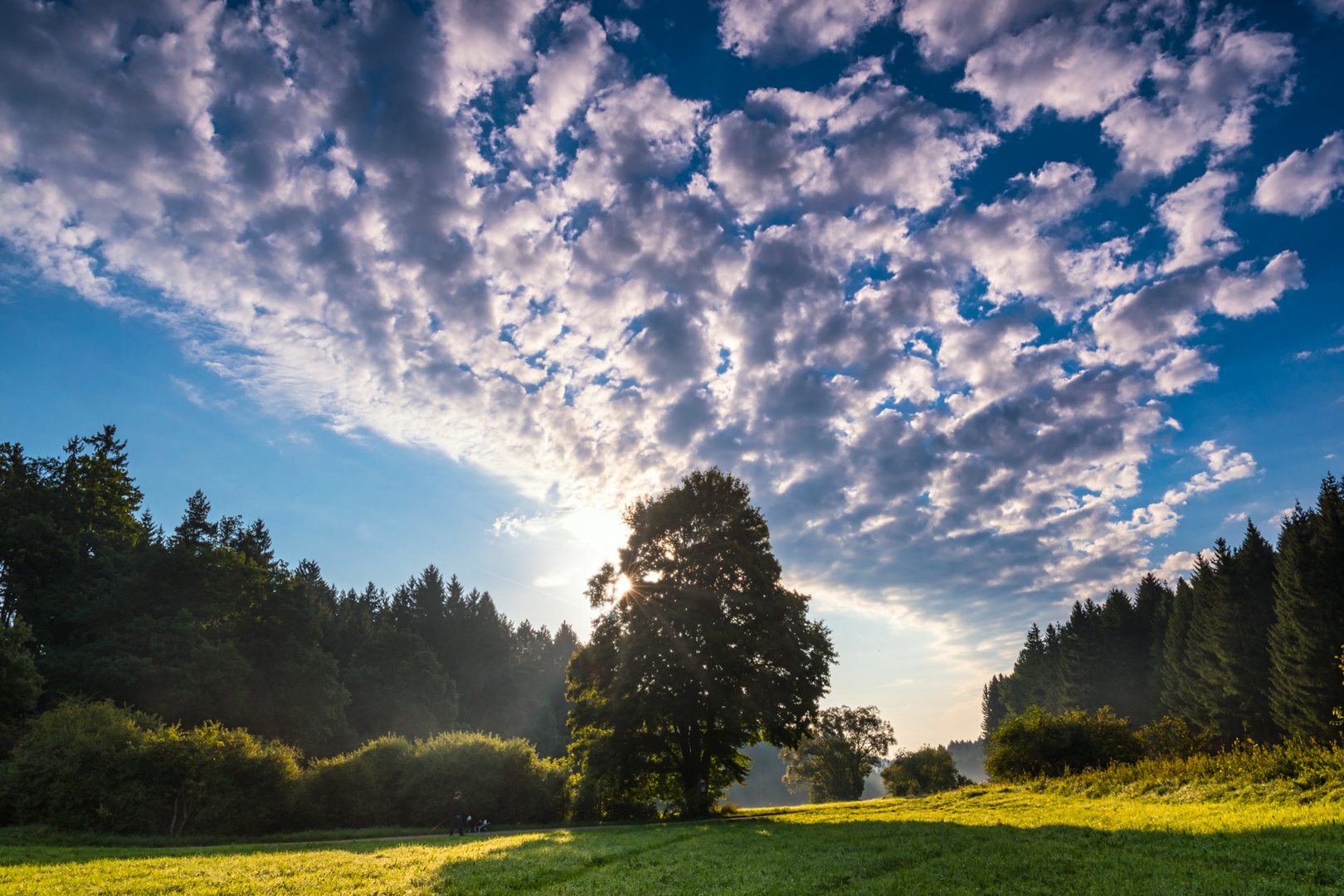 Licht im Tal