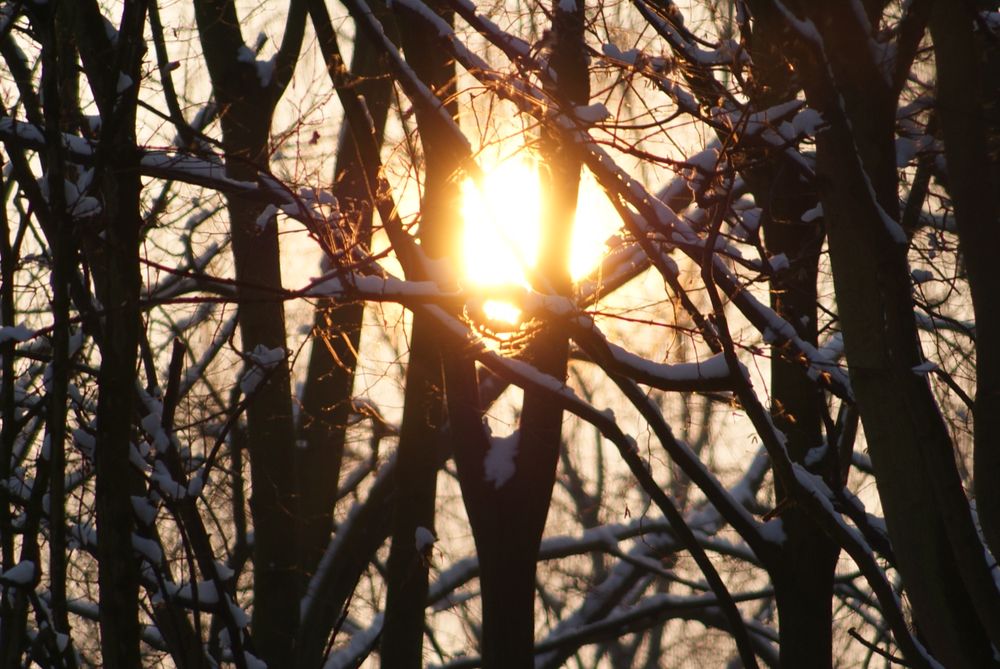 Licht im Trübem