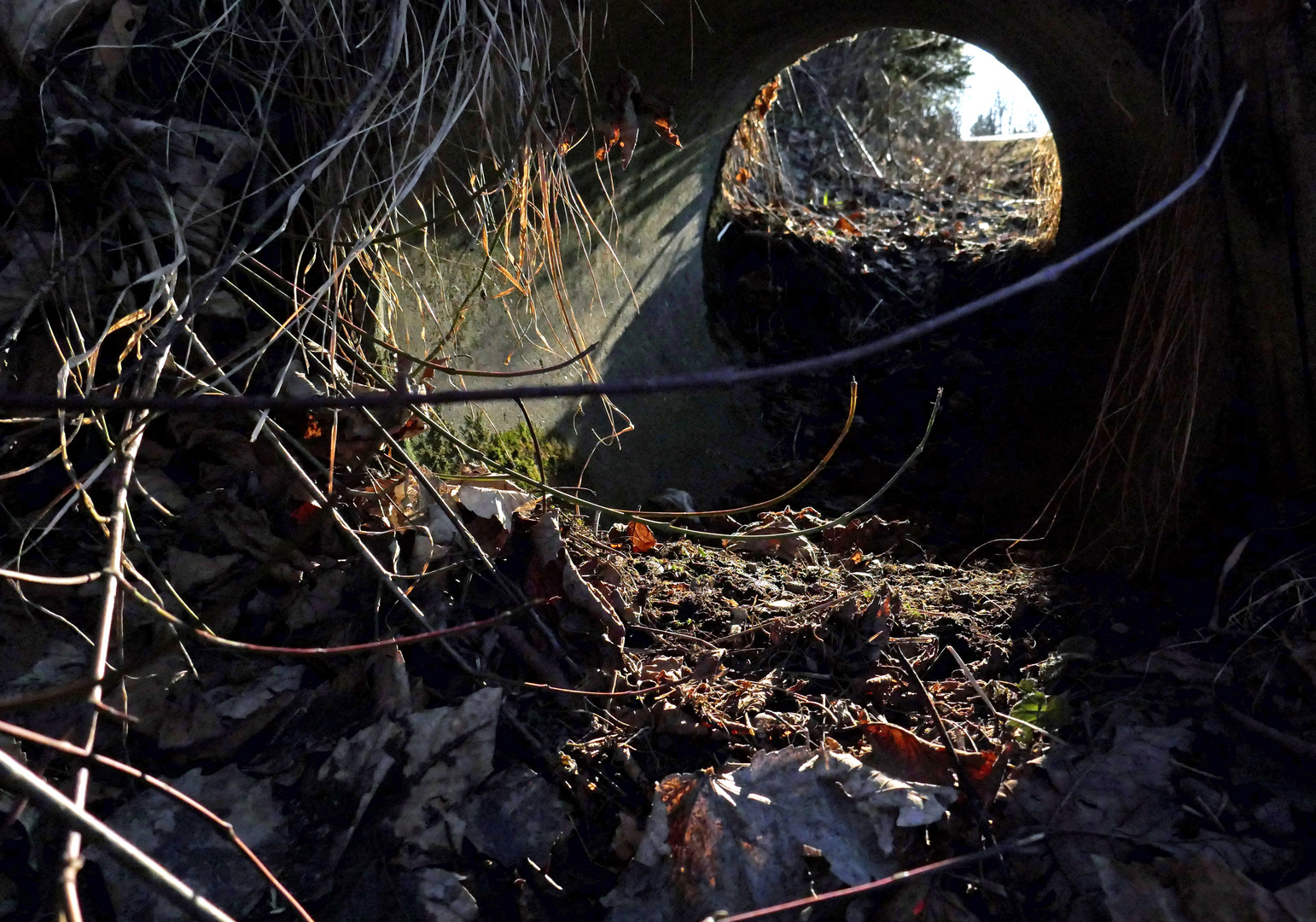 Licht im Tunnel