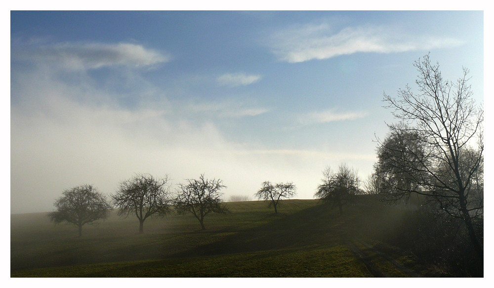 Licht im Winter III