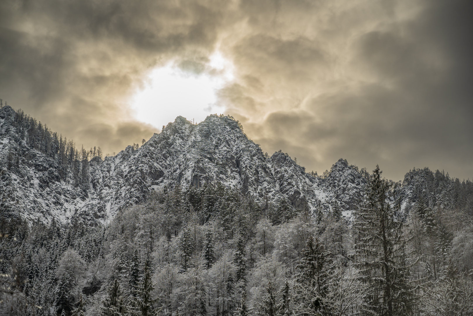 Licht im Xeis (Gesäuse)