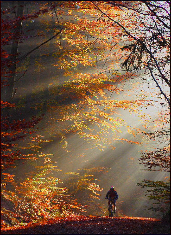 Licht in Bündeln