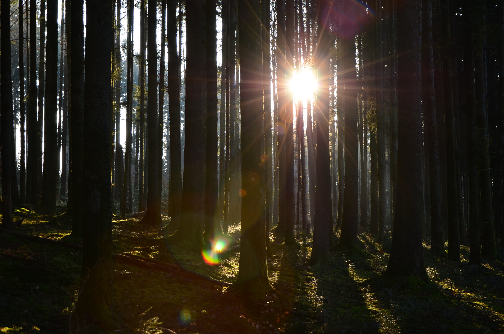 Licht in der Dunkelheit