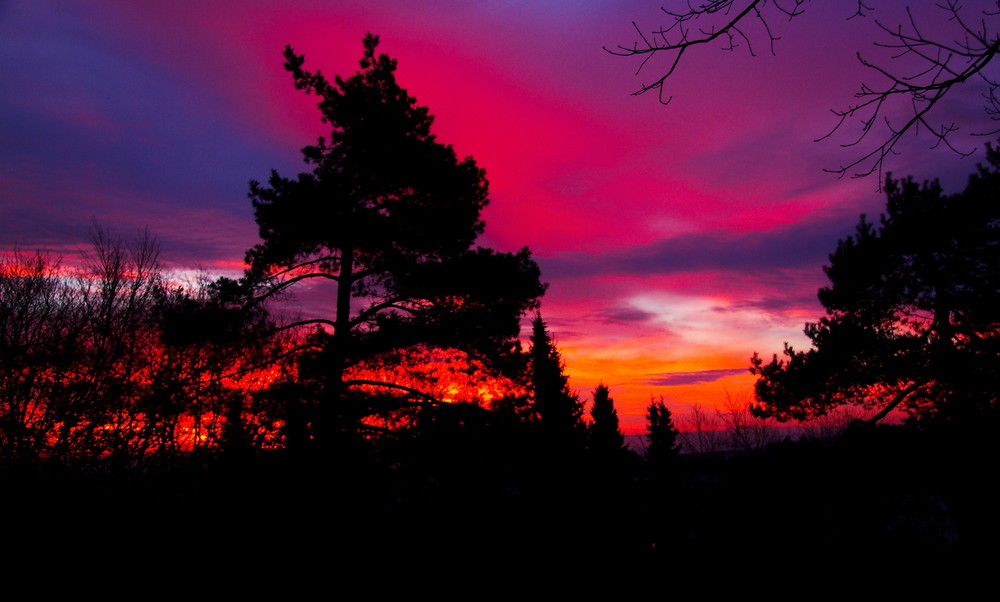 Licht in der Eifel by Viktoriya Lemke 