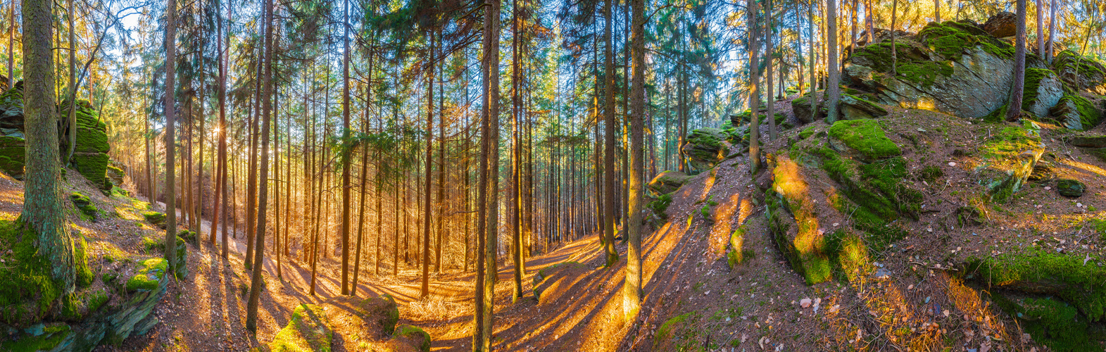 Licht in der Hinterländerschweiz