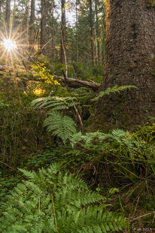 Licht in der Karwand