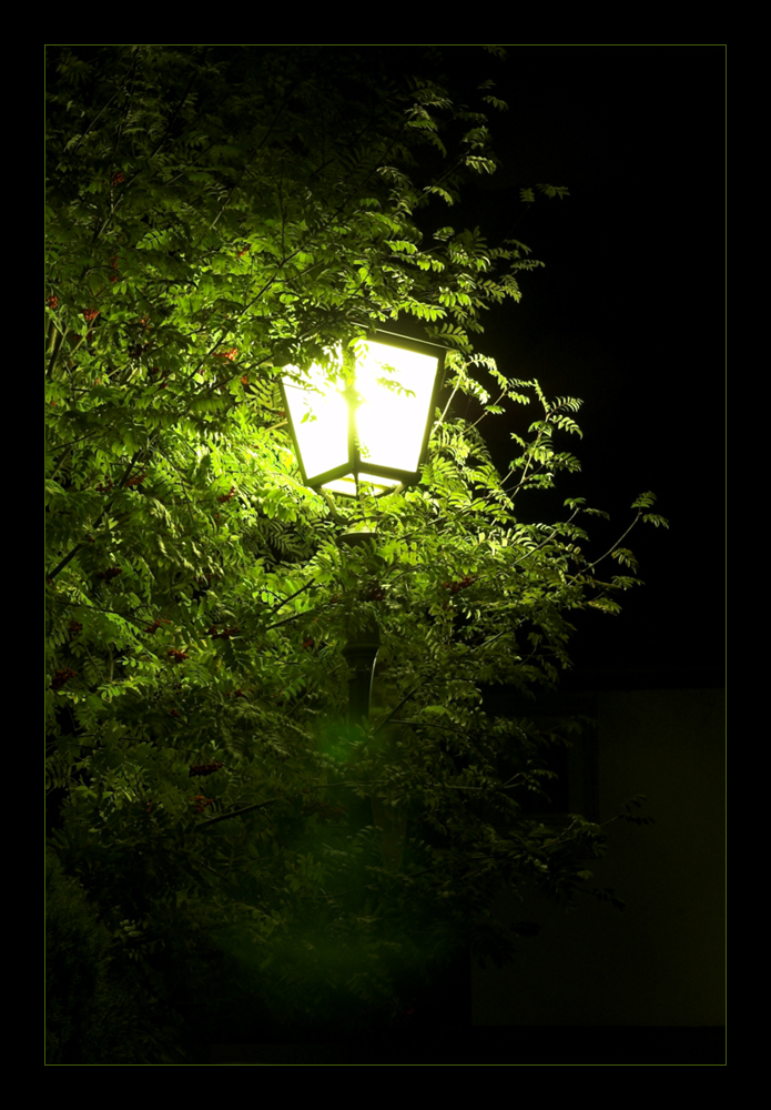 Licht in dunkler Nacht