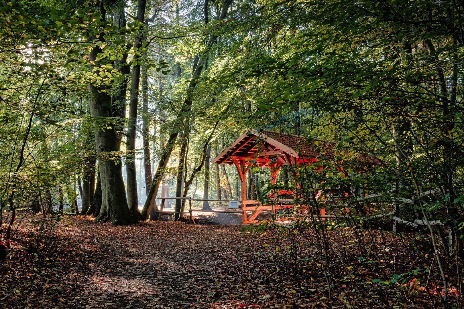 Licht in Wilschenbruch | Lüneburg