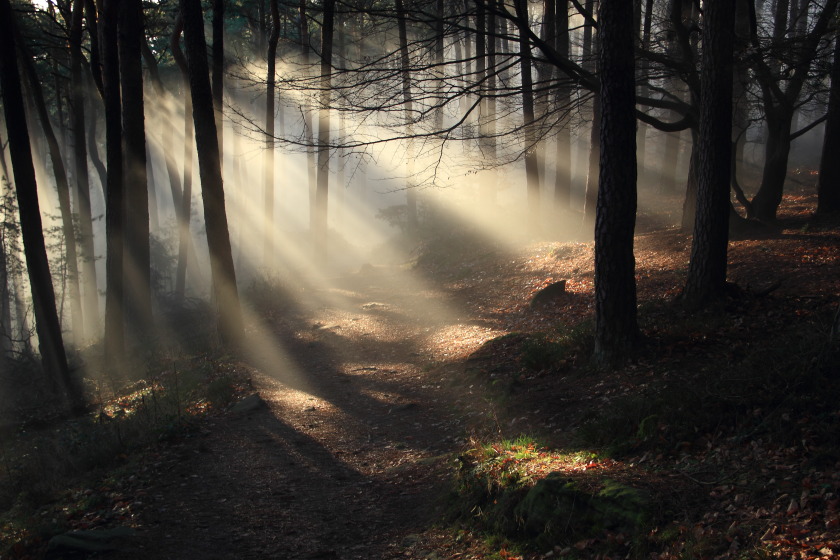 Licht ins Dunkel