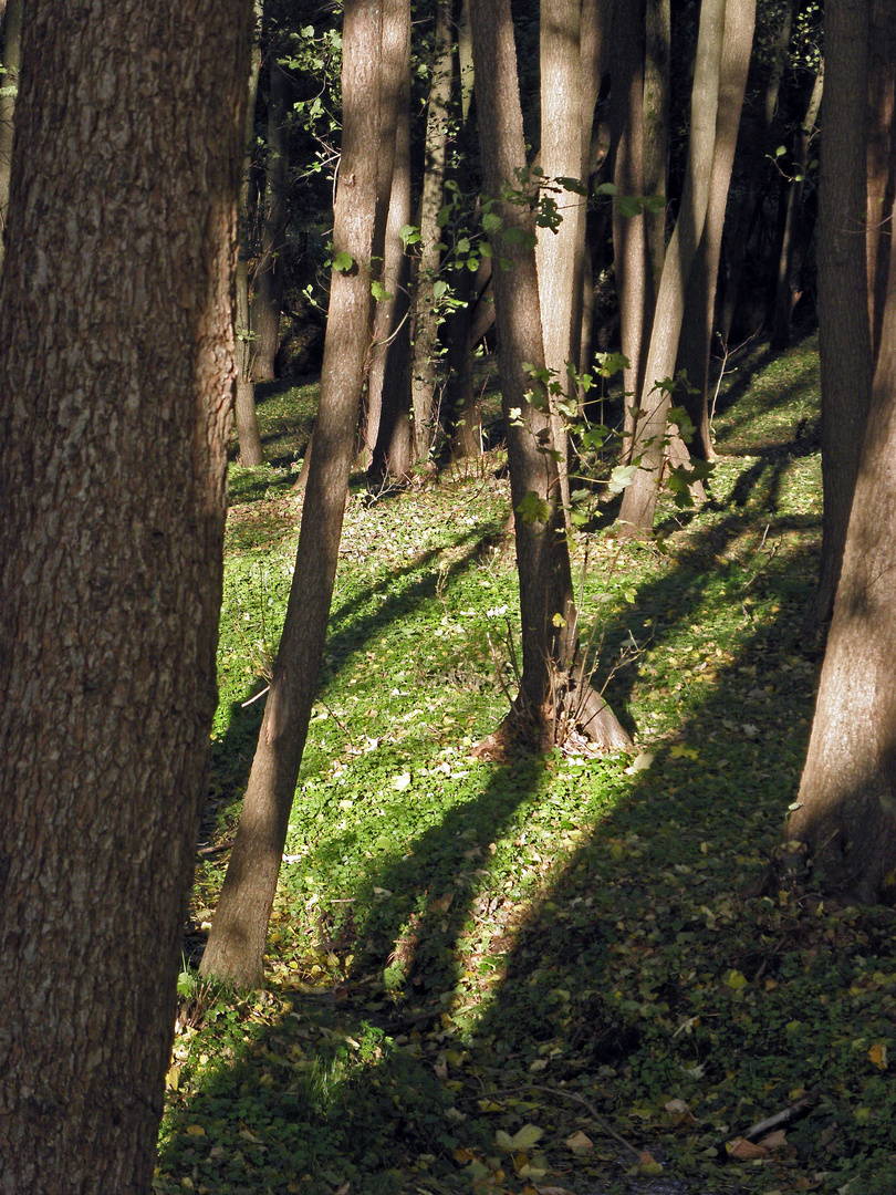 Licht ins Dunkel