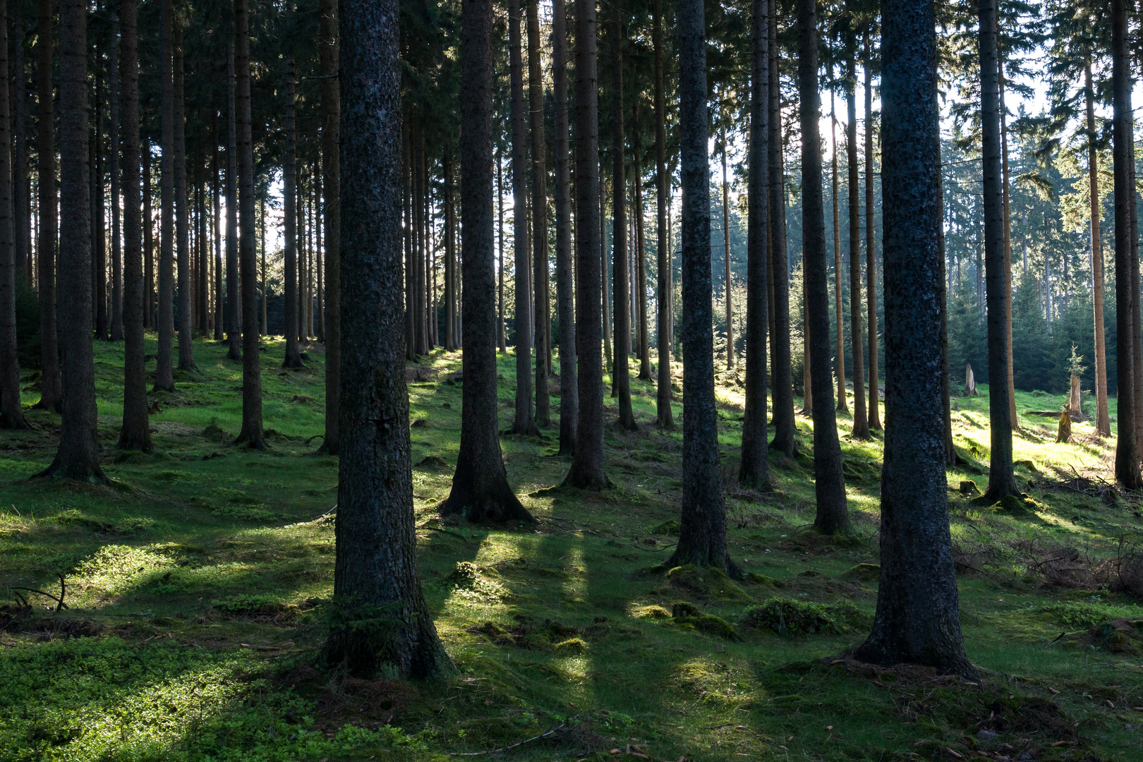 Licht ins Dunkel