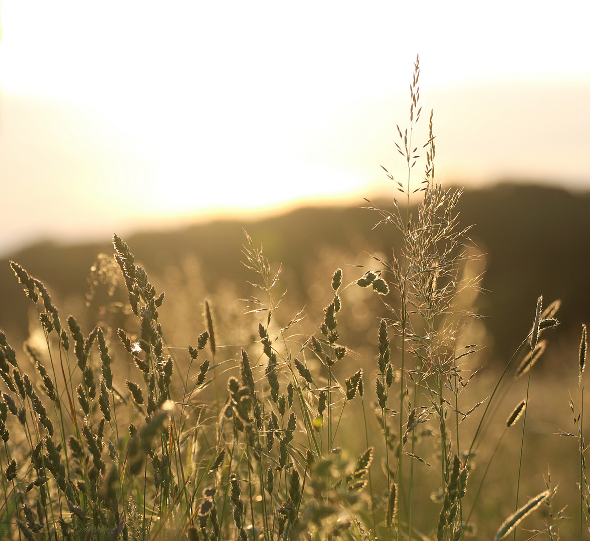 Licht ins Dunkle bringen