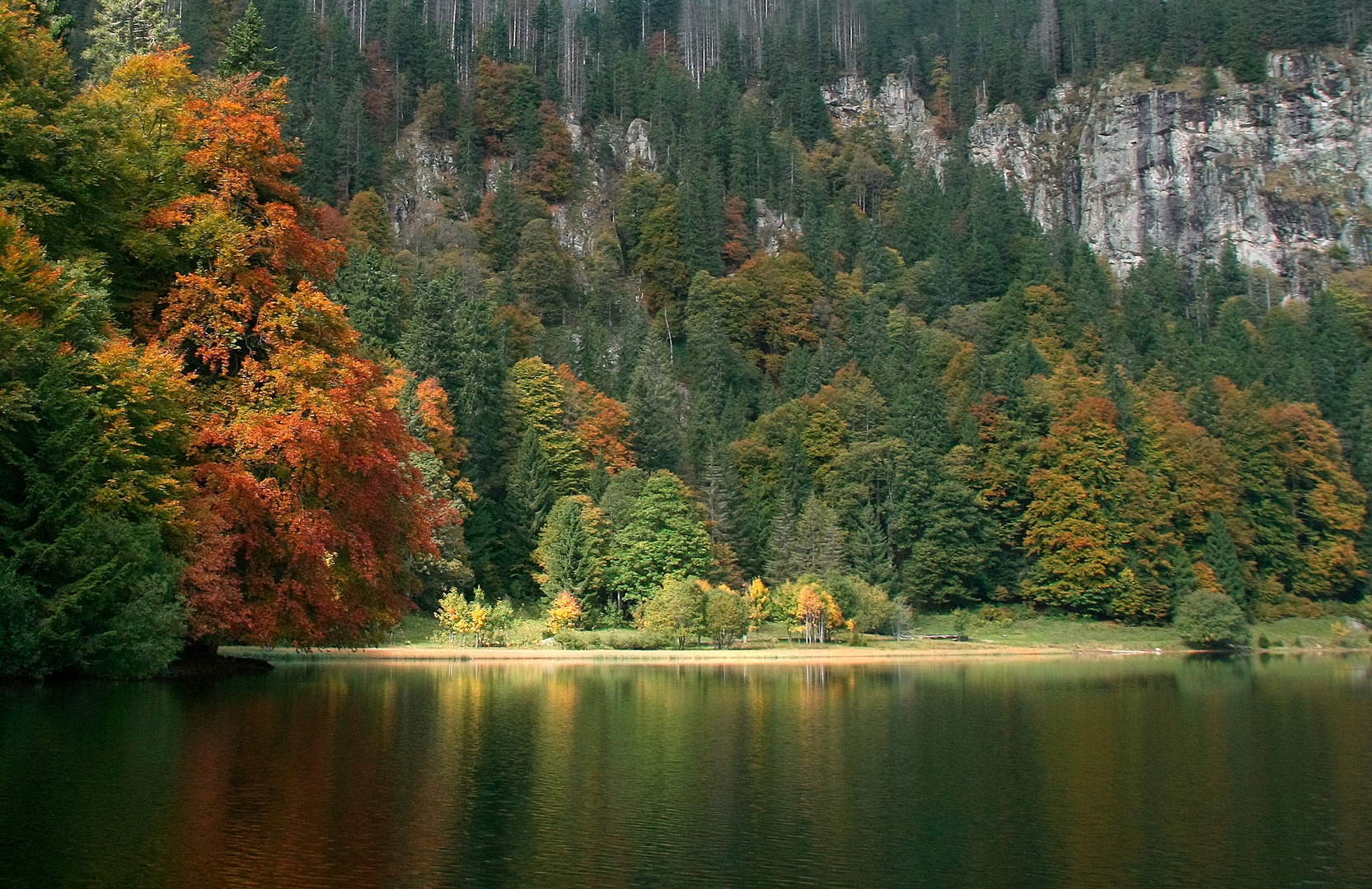 Licht-Insel im Feldsee