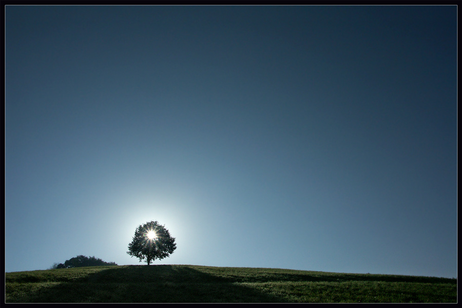 Licht-Kraft-Leben