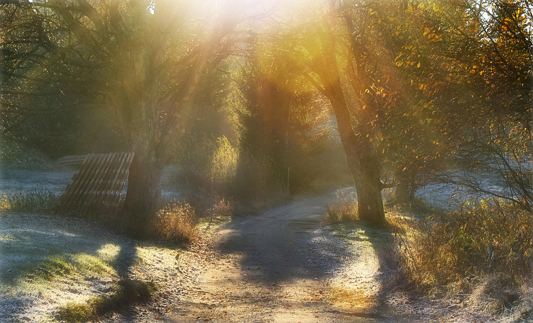 Licht = Leben Foto & Bild landschaft, jahreszeiten, herbst Bilder auf