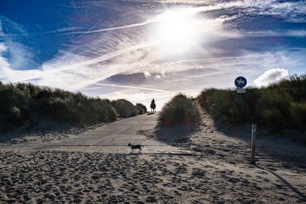 Licht!! Lights!!Leggero!!Luz!!Lux!!