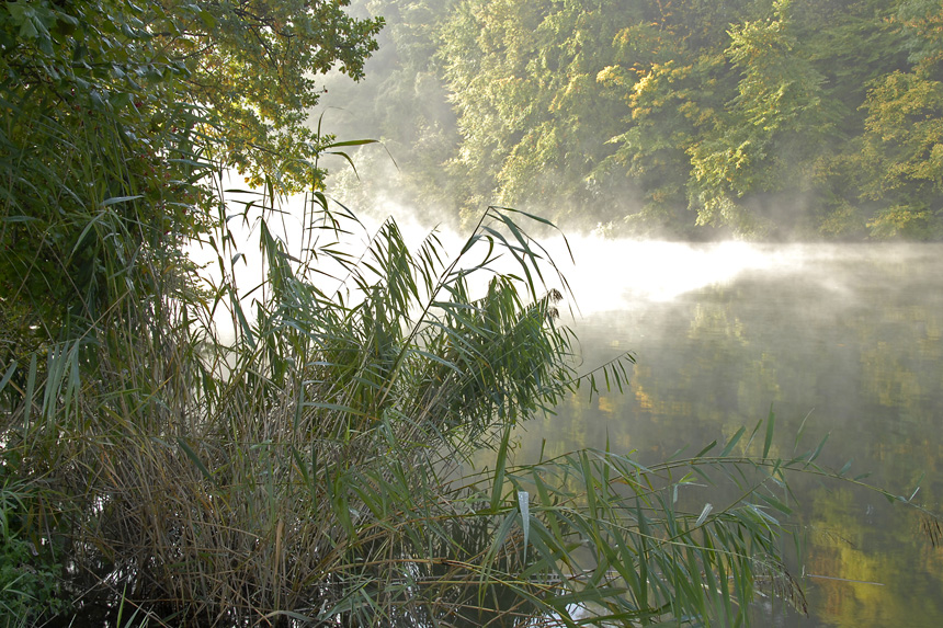 Licht & Nebel