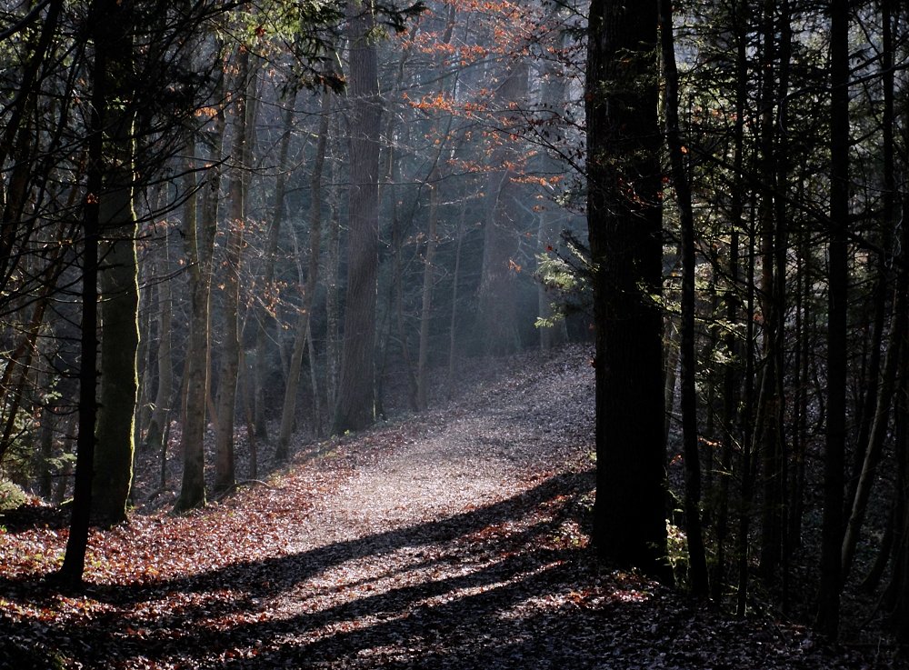 Licht! Nichts liegt quer