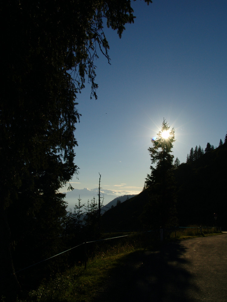 Licht oder Dunkelheit