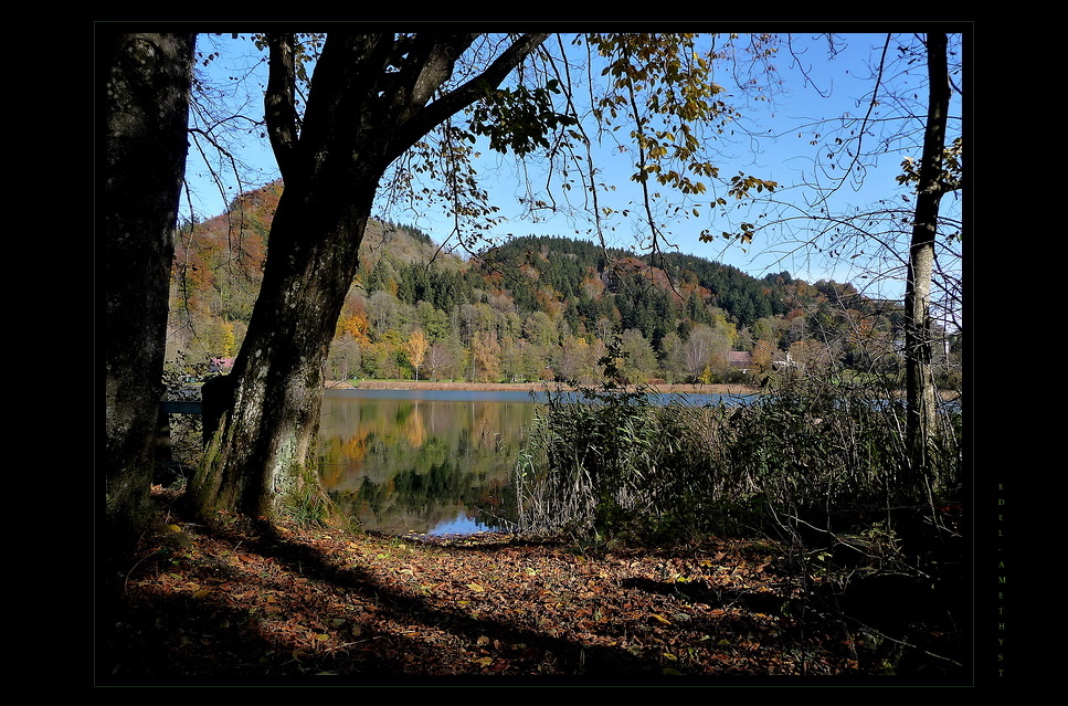 "Licht & Schatten"