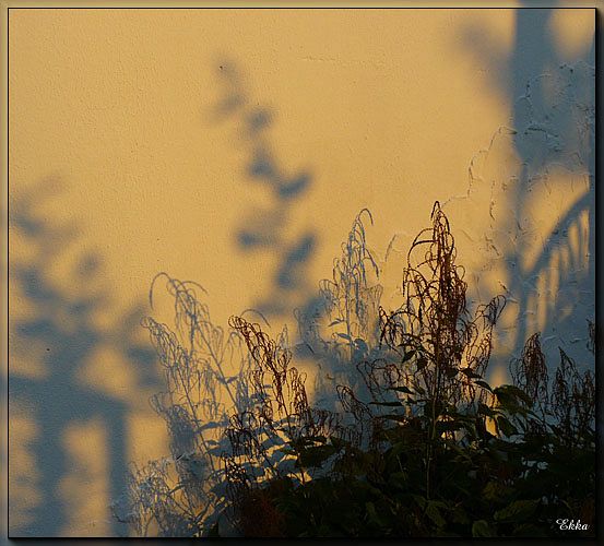 Licht - Schatten