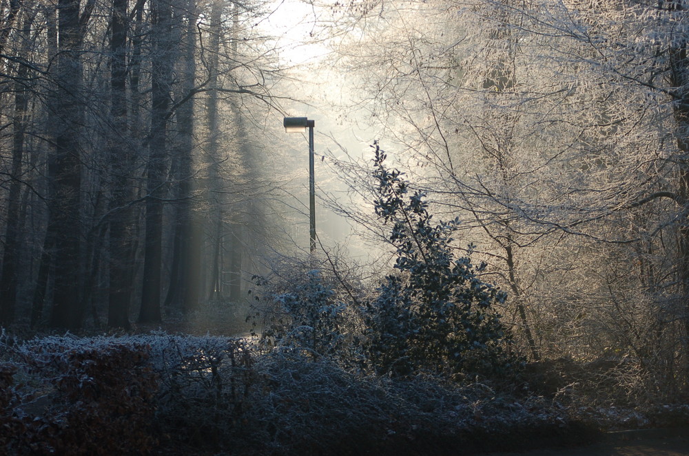 Licht &Schatten