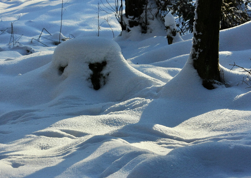 Licht & Schatten