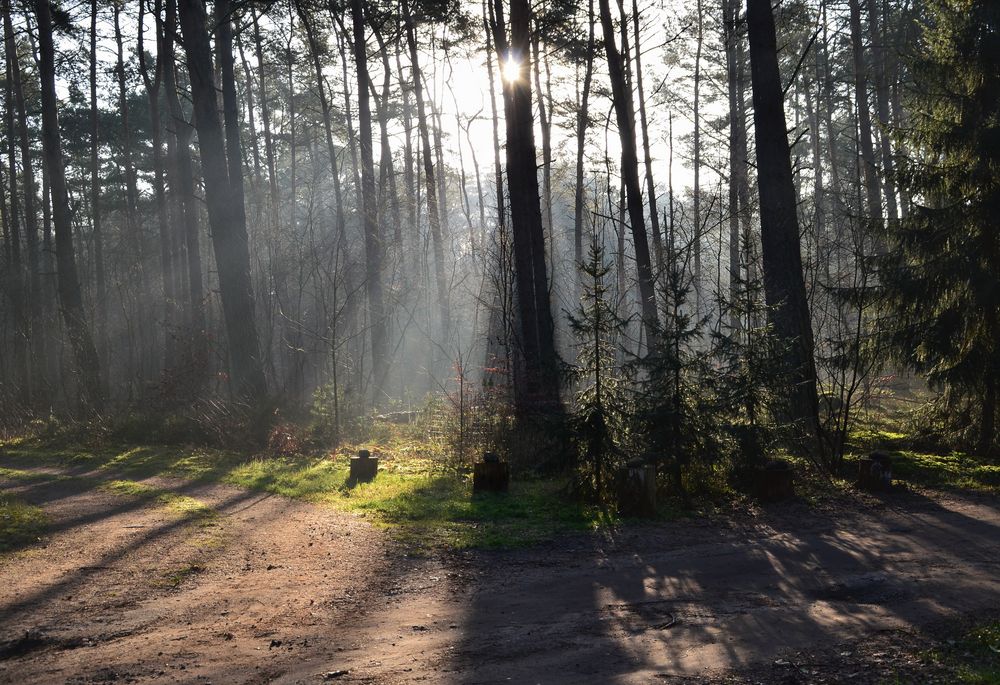 Licht & Schatten